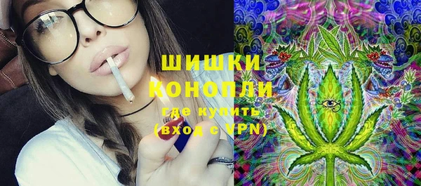 стаф Балахна
