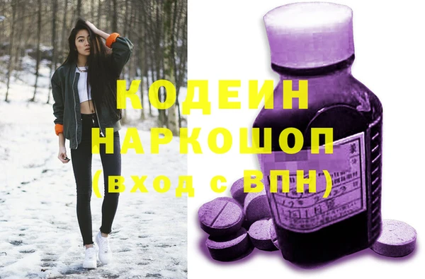 стаф Балахна