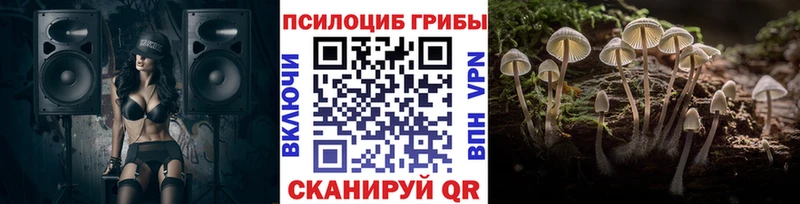 Псилоцибиновые грибы Cubensis  сколько стоит  ссылка на мегу зеркало  Николаевск 