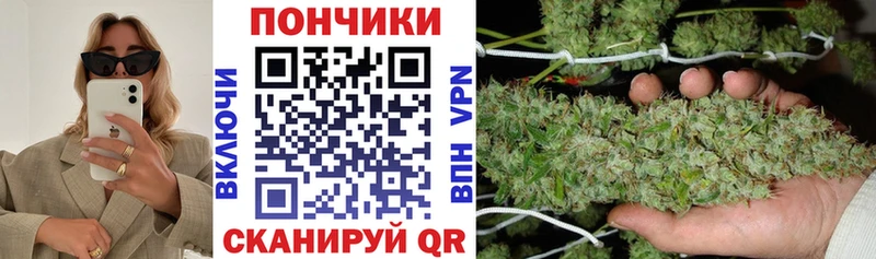 Бошки марихуана VHQ  Николаевск 